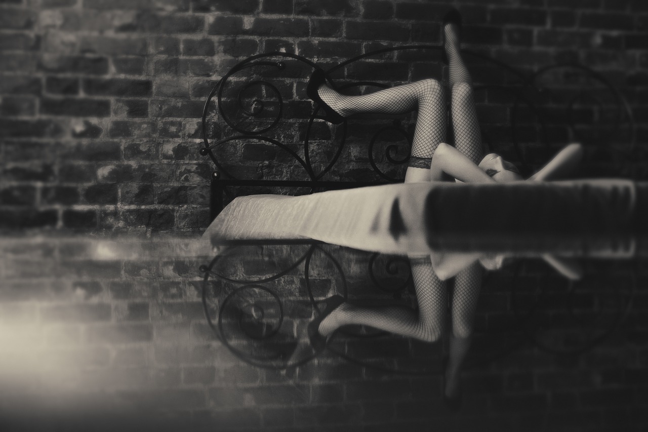 black-widow-2201437_1280 (1)